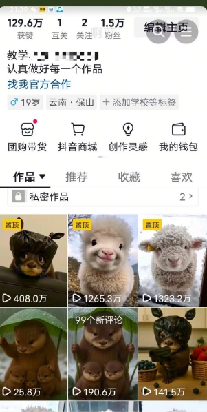 抖音65W博主AI萌宠课程,新赛道流量大,原创 二创,全套课程 提示词